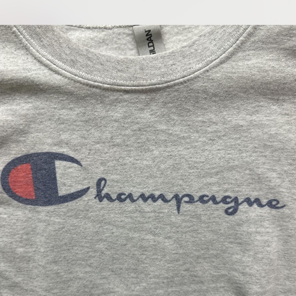 Champagne Champion font Gray and Blue Logo Sweatshirt